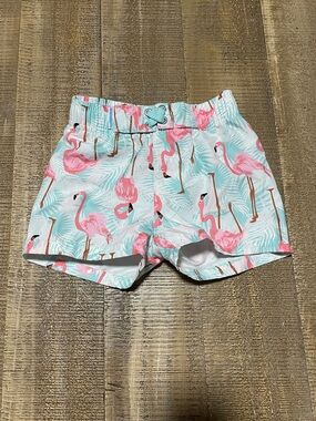 Rugged Butts Baby Swim Trunks with Flamingo Print
